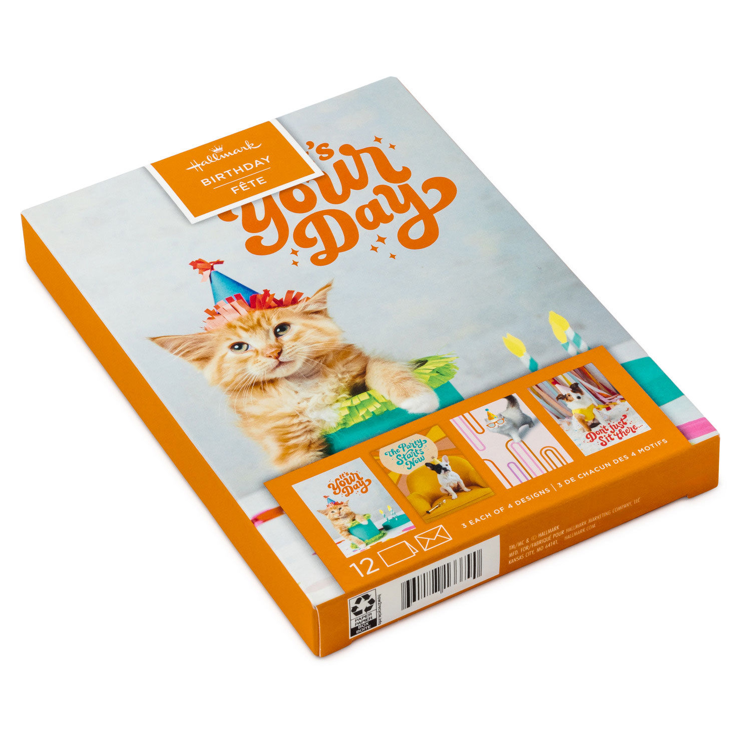 Cats and Dogs Birthday Party Cards Assortment pckage front image number 2