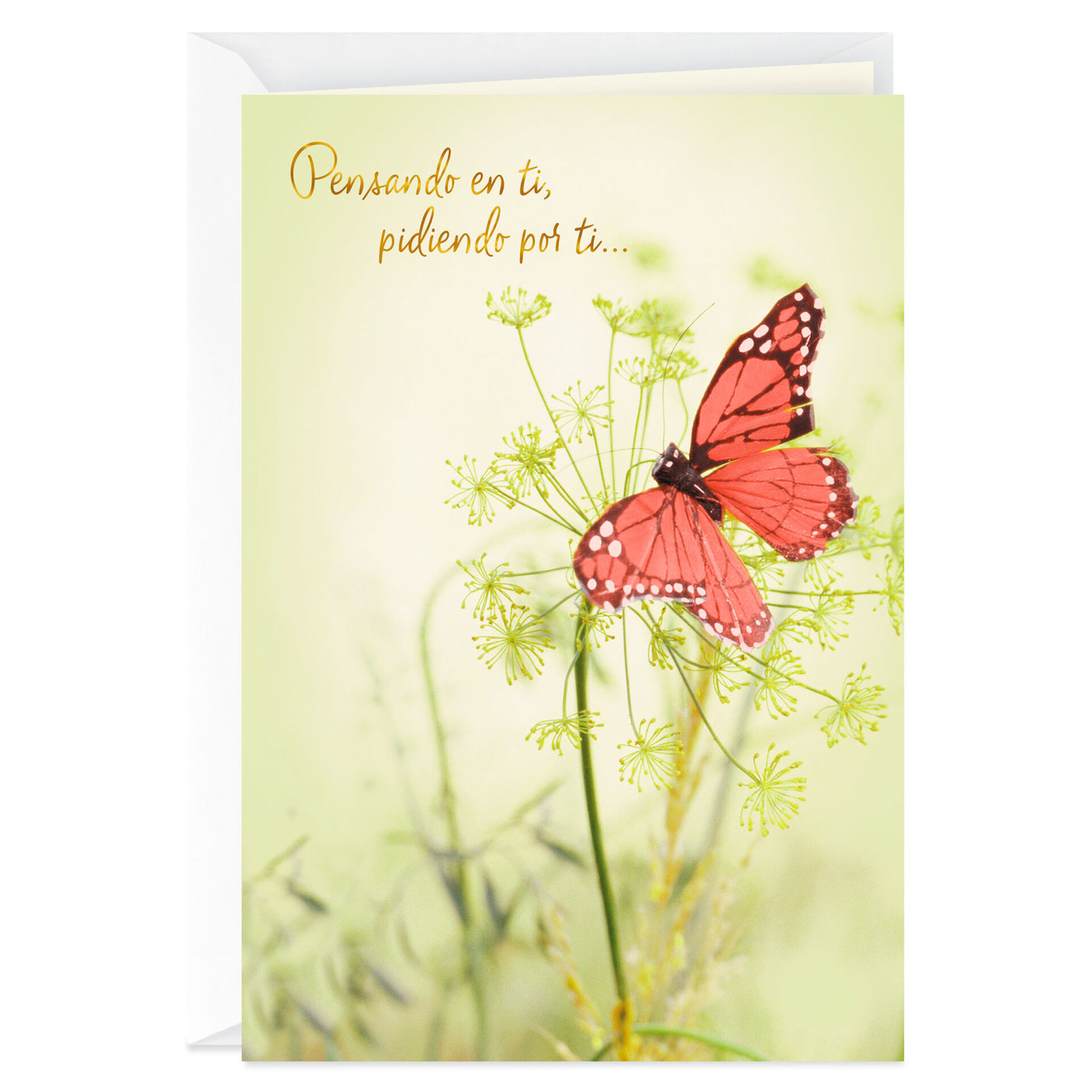 Wishing You Peace SpanishLanguage Sympathy Card  Greeting Cards