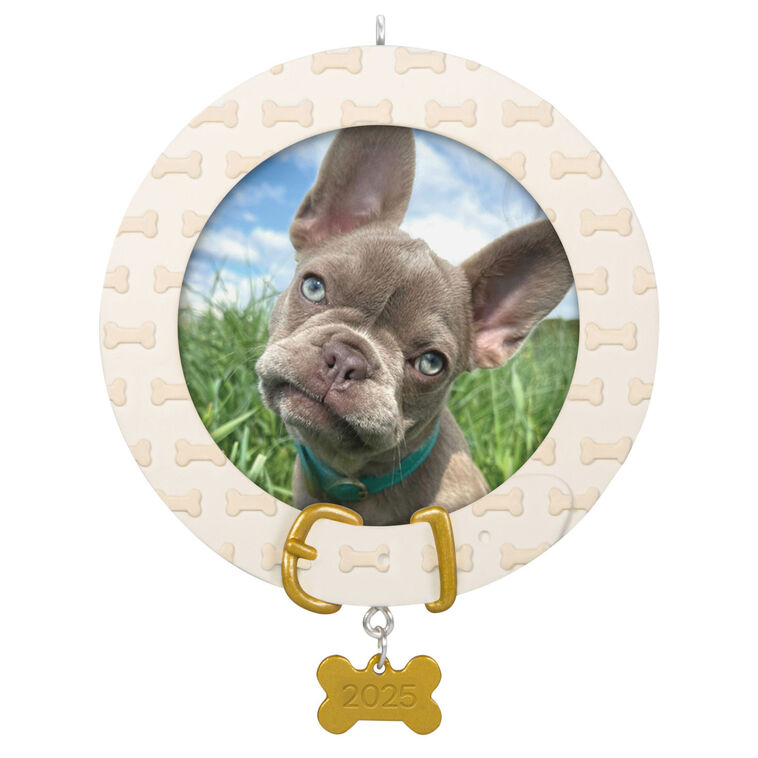 Faithful Friend 2025 Personalized Ornament, Custom Photo