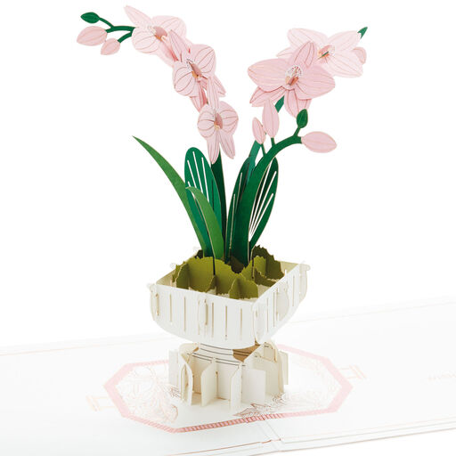 Beautiful You Orchids 3D Pop-Up Thinking of You Card, 