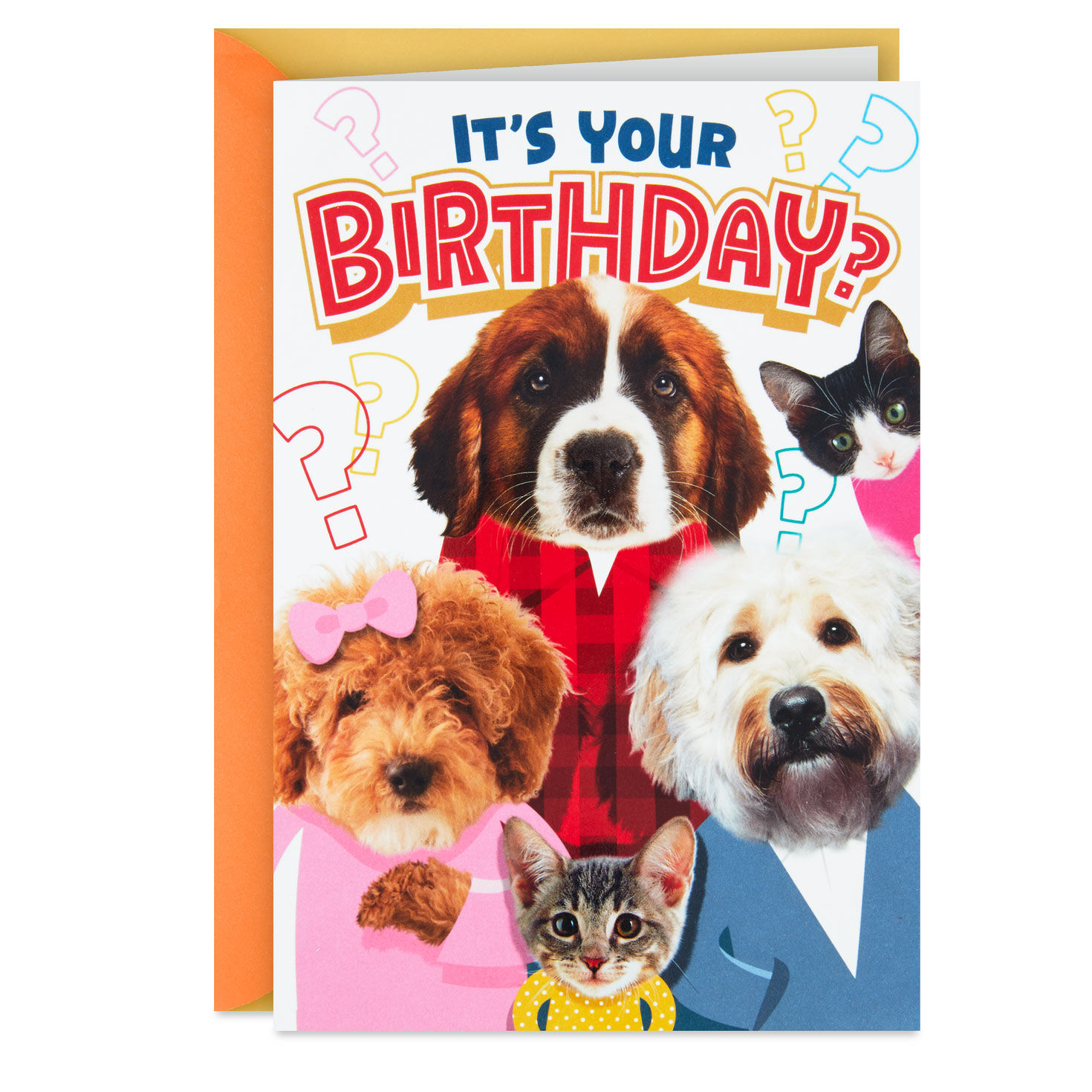 Cats and Dogs Round of Appaws Funny Pop-Up Birthday Card