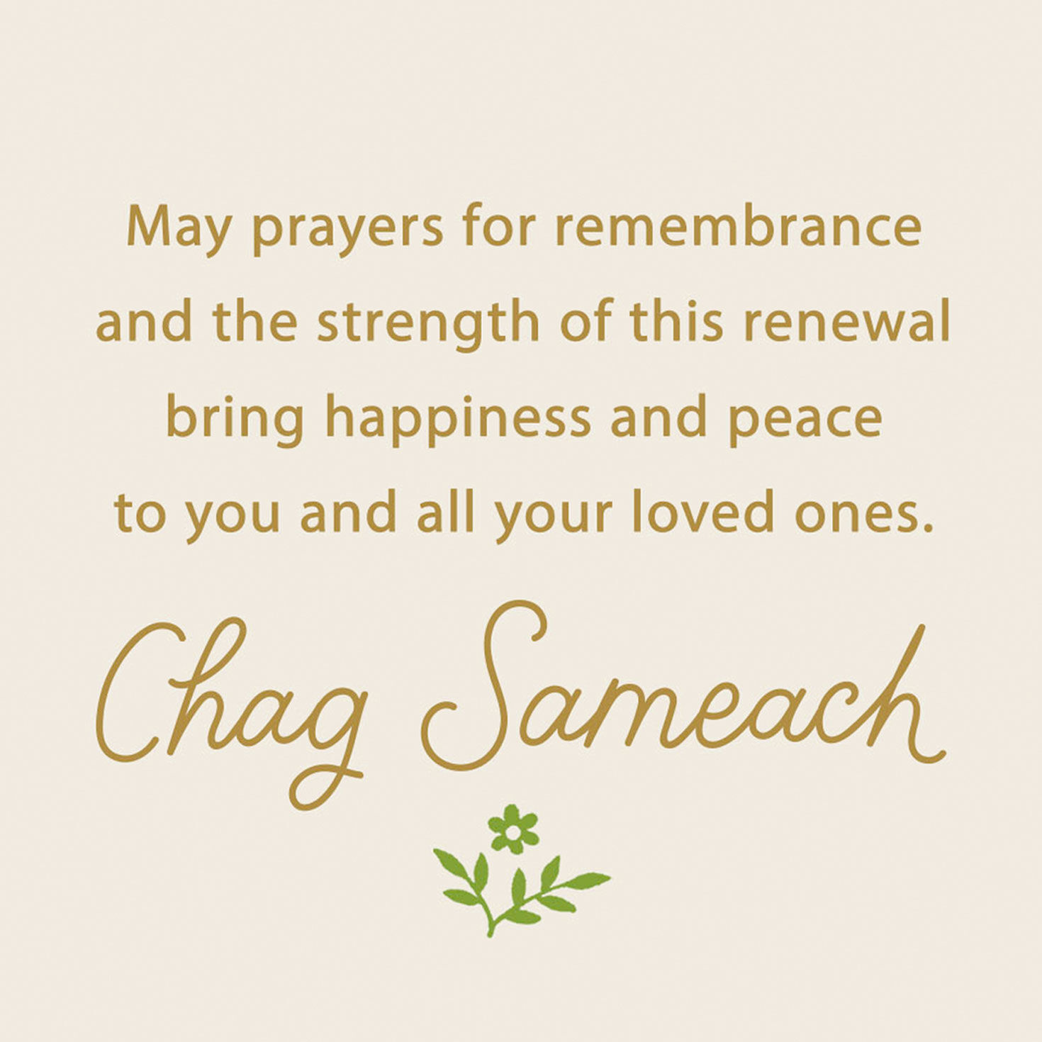 Matzah, Wine and Flowers Passover Card Sentiment image number 2