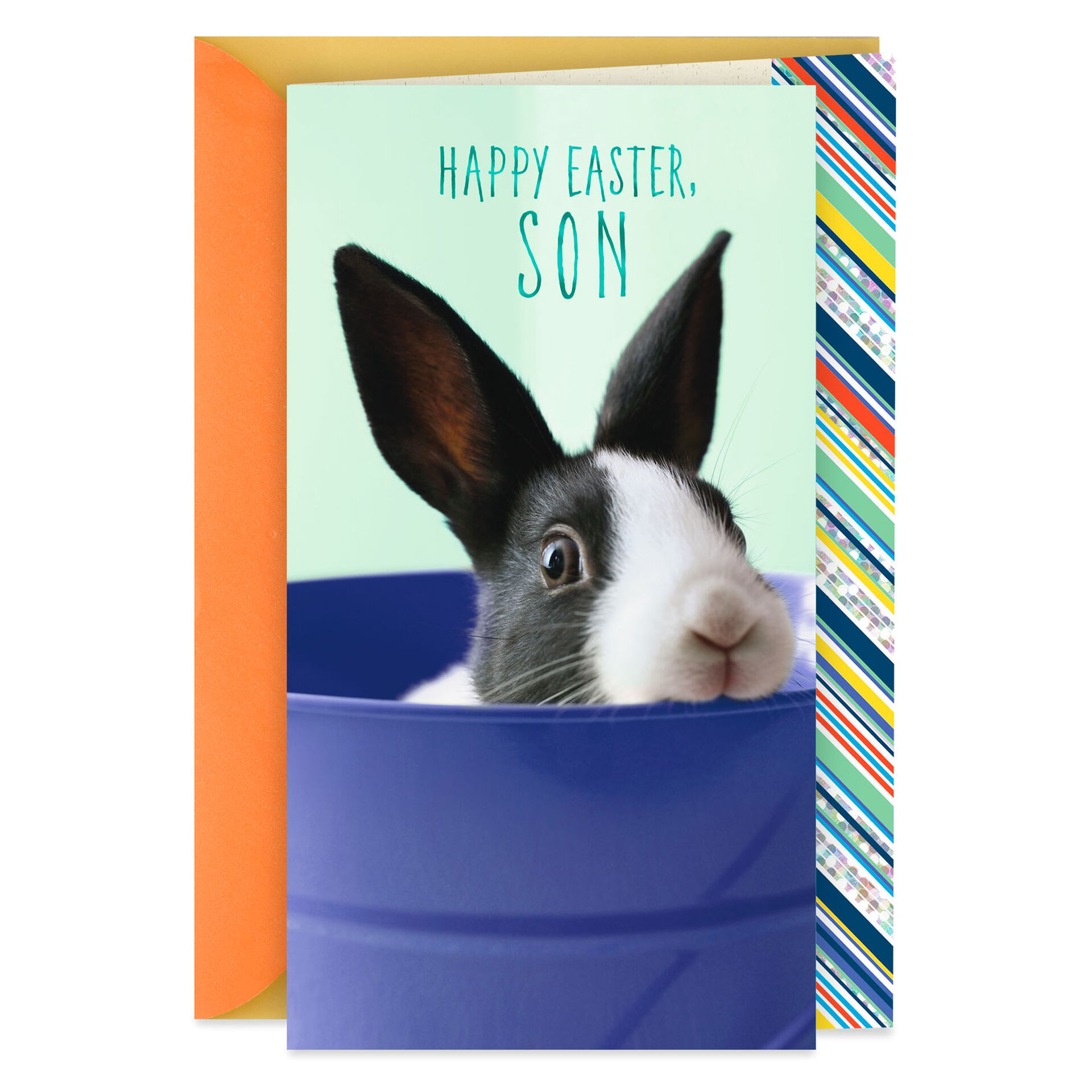 Proud of You Easter Card for Son - Greeting Cards - Hallmark