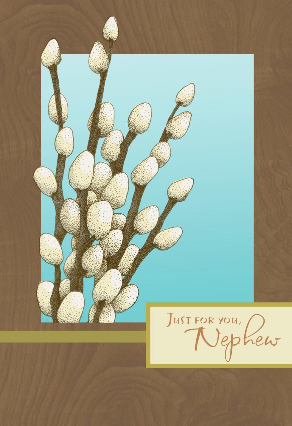 Loved Nephew Easter Card