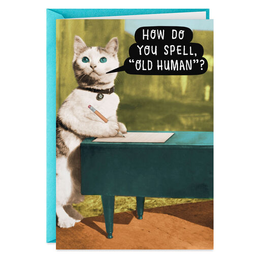 Don T Listen To Smokey Funny Birthday Card Greeting Cards Hallmark