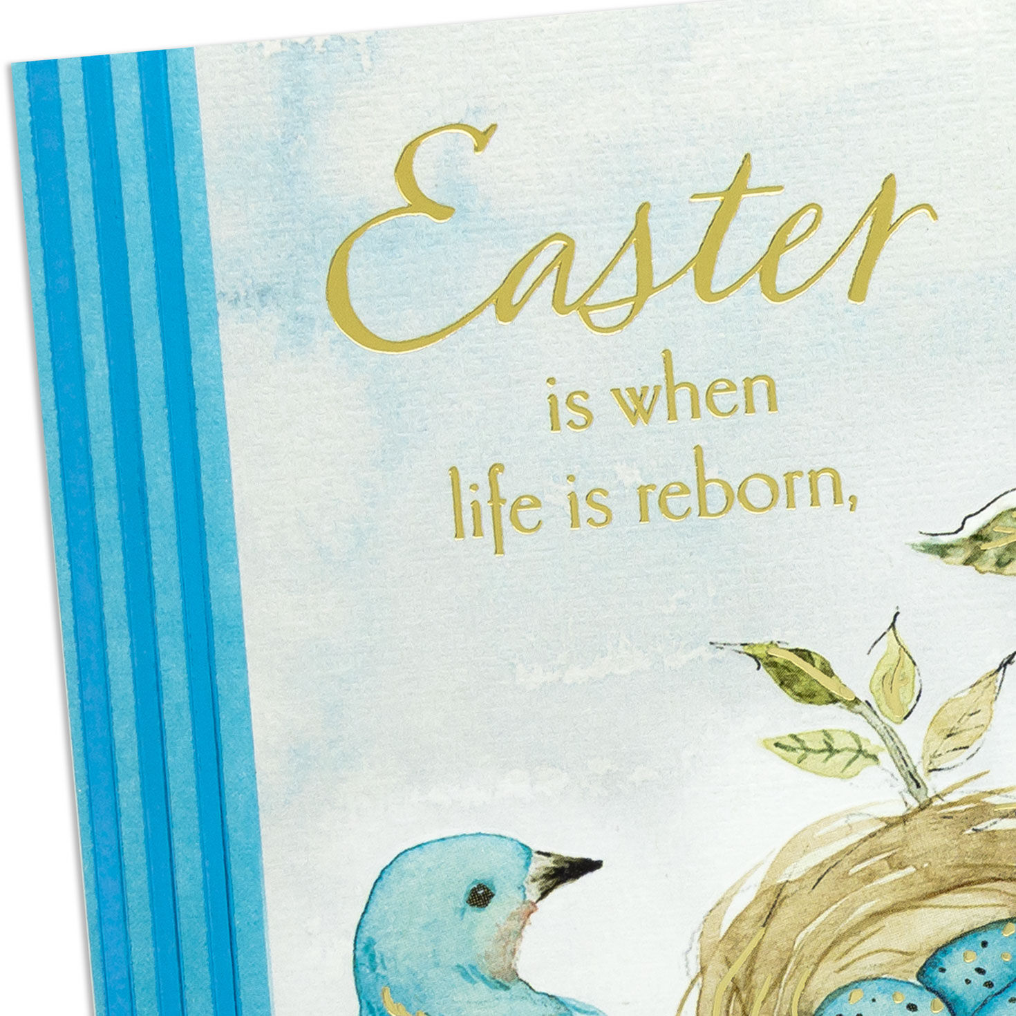 Bluebird and Nest With Eggs Easter Card Card Front Detail image number 4