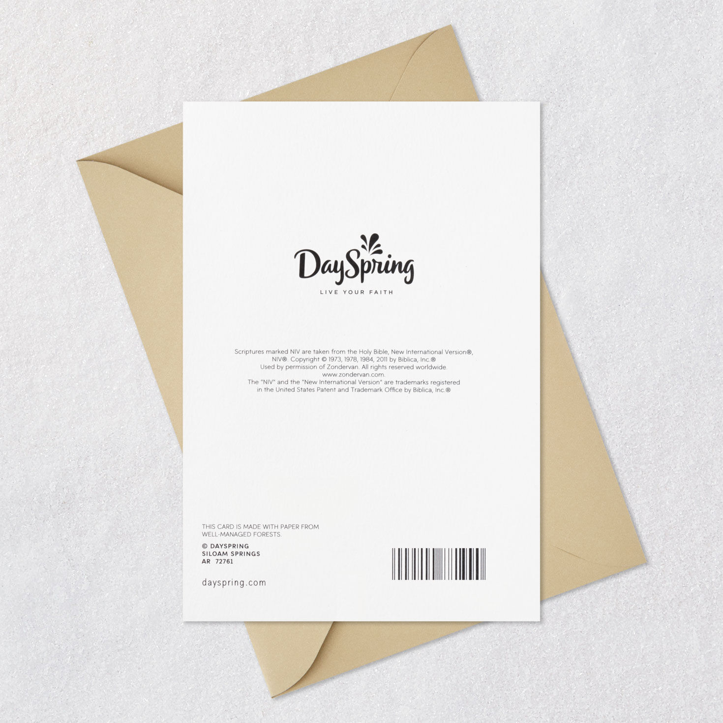 Pride and Love Religious Birthday Card for Son, , large image number 8