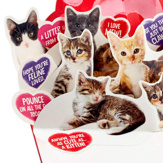Truly Adorable Cats Funny Pop-Up Valentine's Day Card, , large image number 4