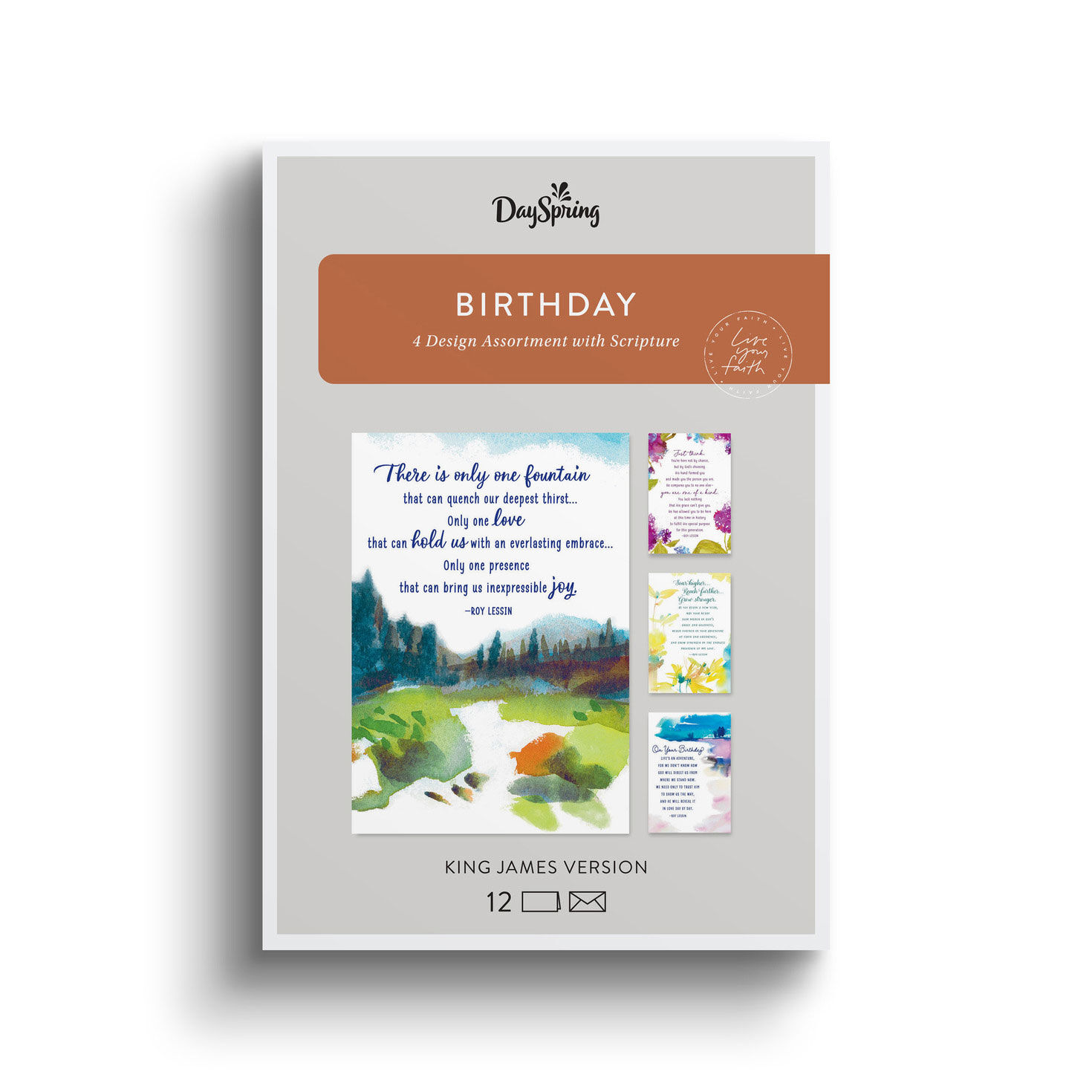 Roy Lessin DaySpring Birthday Cards Assortment package front image number 2