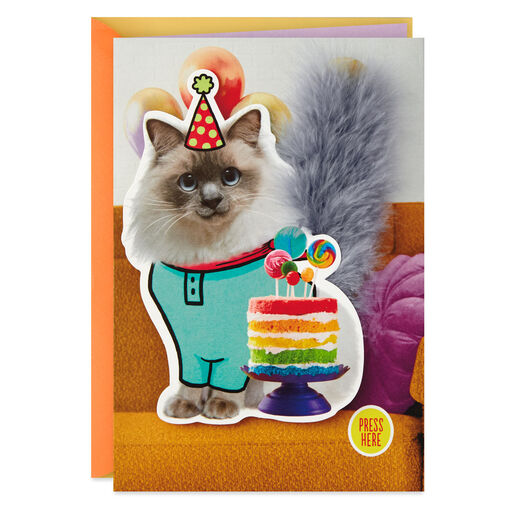 Party Cat Funny Musical Birthday Card With Motion, 