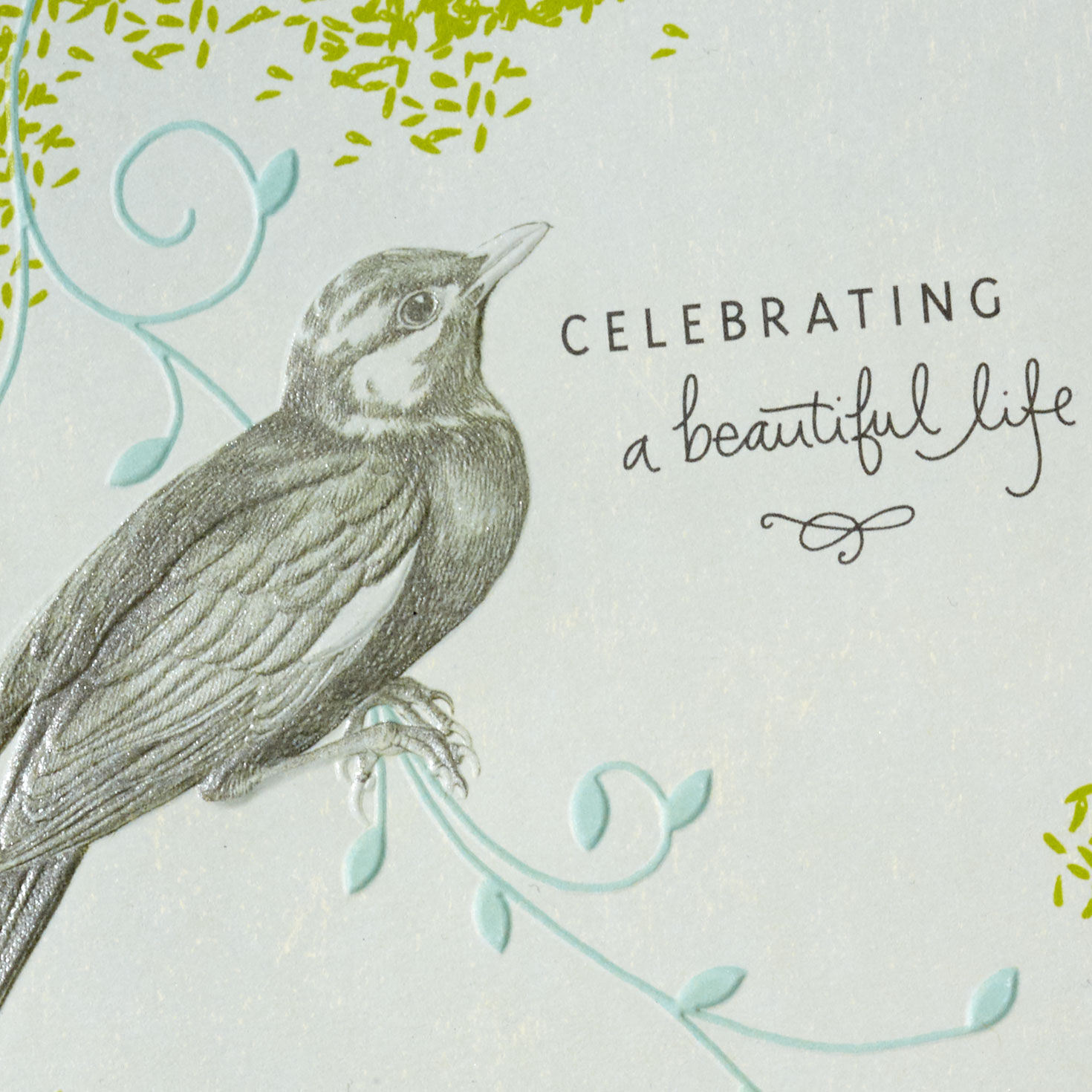 Gray Bird on Blue Branch Sympathy Card Card Front Detail image number 4