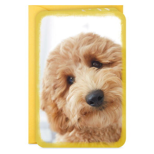 3.25" Mini Fluffy Puppy Dog Blank Card, 