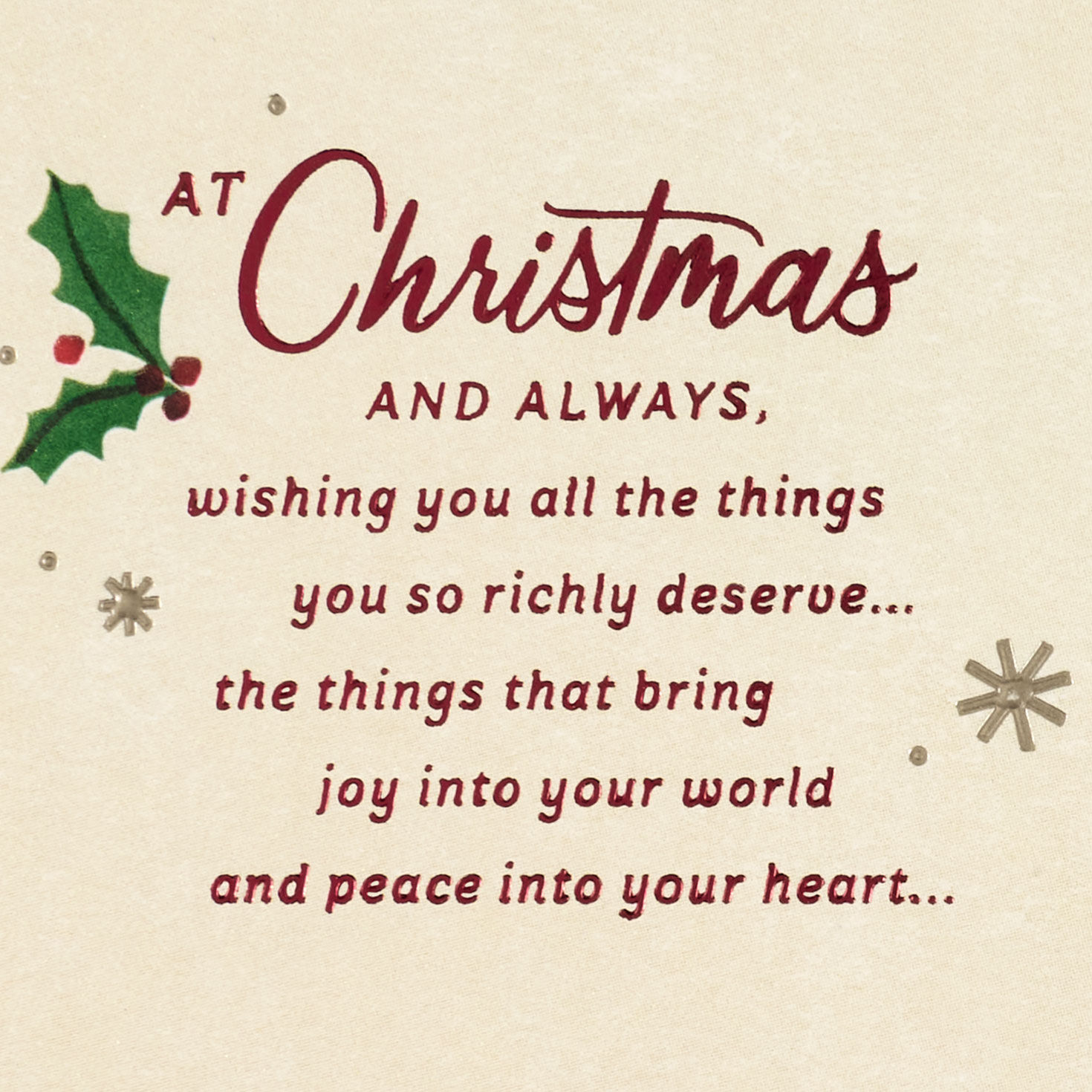 Cardinal on Snowy Branch Son Christmas Card sentiment image number 2