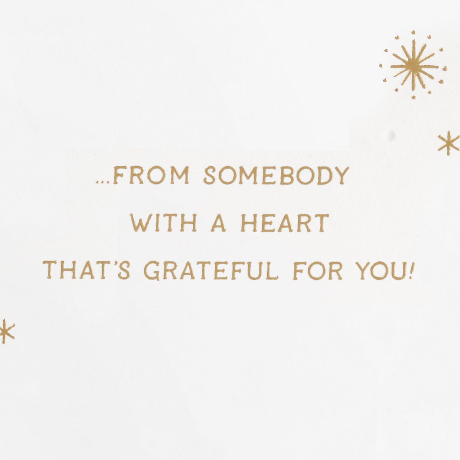 Santa and Reindeer Christmas Card Sentiment image number 2