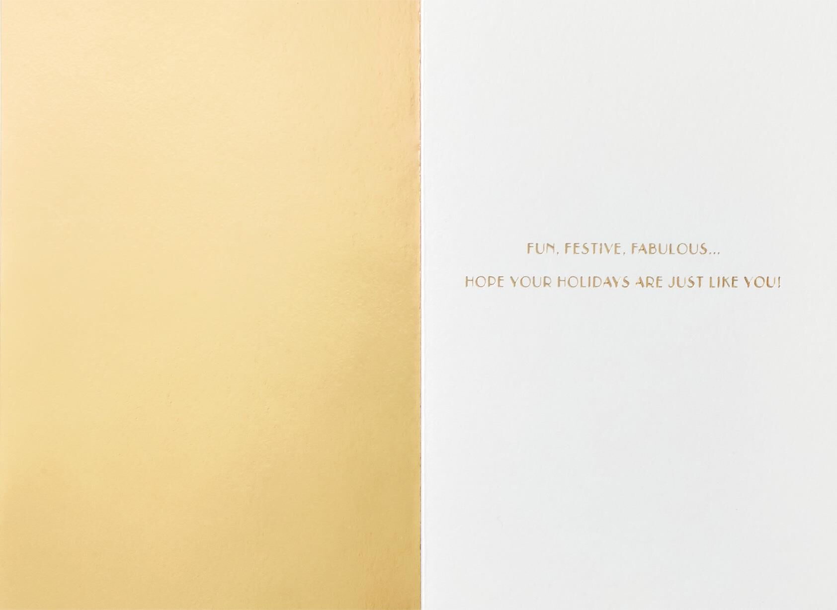 Fun, Festive, Fabulous Christmas Card