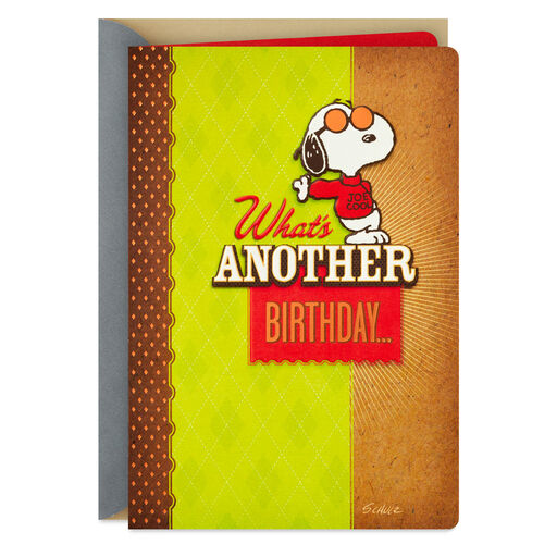 Peanuts® Snoopy Handsome Dog Birthday Card, 