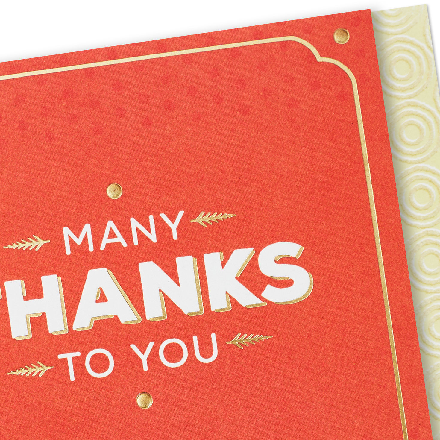 Many Thanks to You Thank You Card for only USD 5.99 | Hallmark