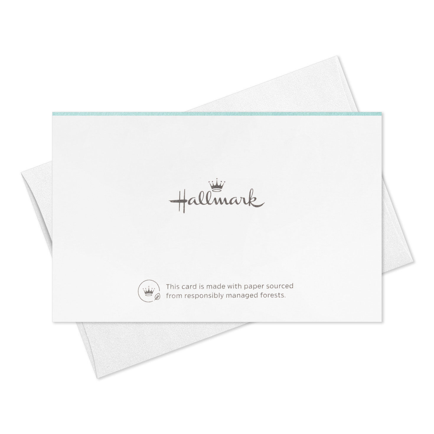 Potted Plants Mini Note Cards Pack card back with envelope image number 6