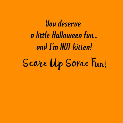 Scare Up Some Fun Black Cat Bat Halloween Card, 