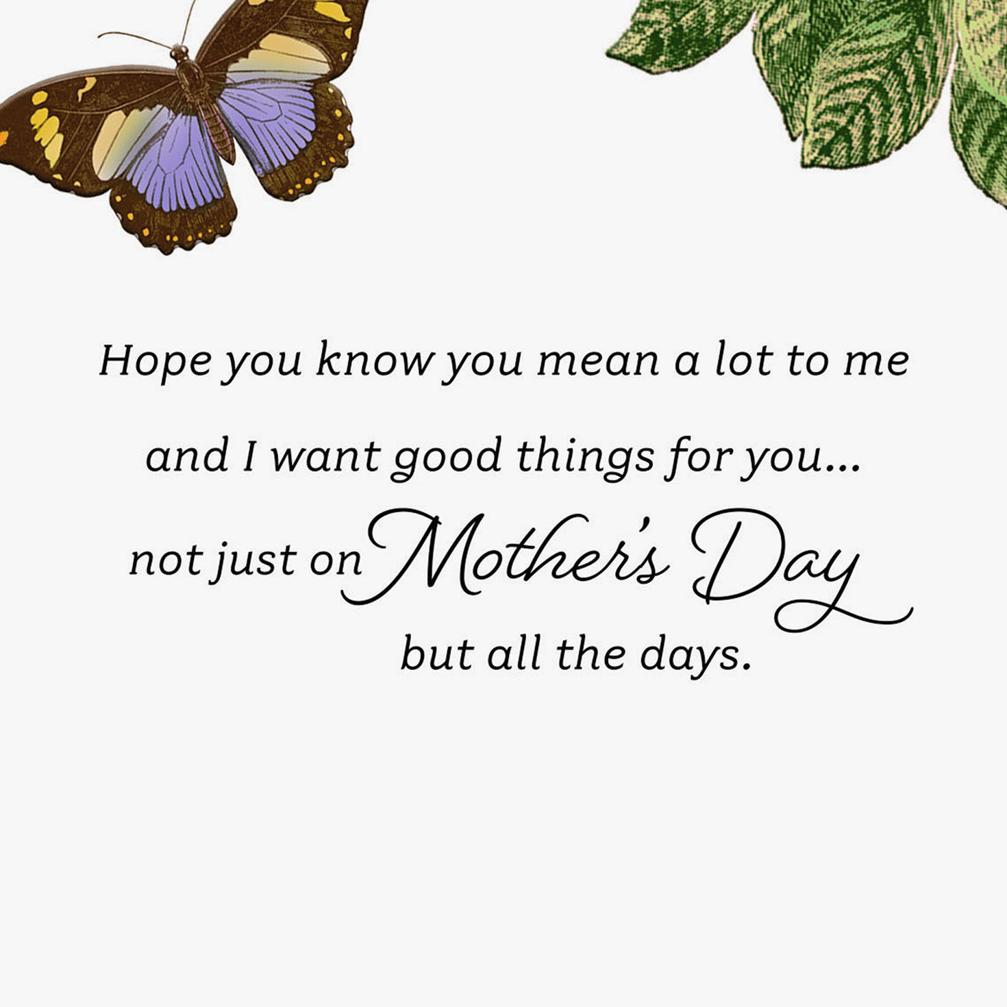 Butterflies on Mint Green Mother's Day Card Sentiment image number 2