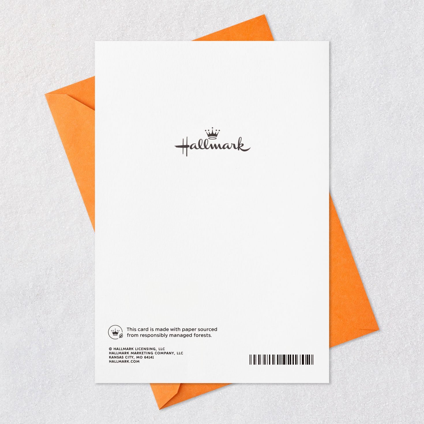 Especially Thankful for You Thanksgiving Card for only USD 2.99 | Hallmark