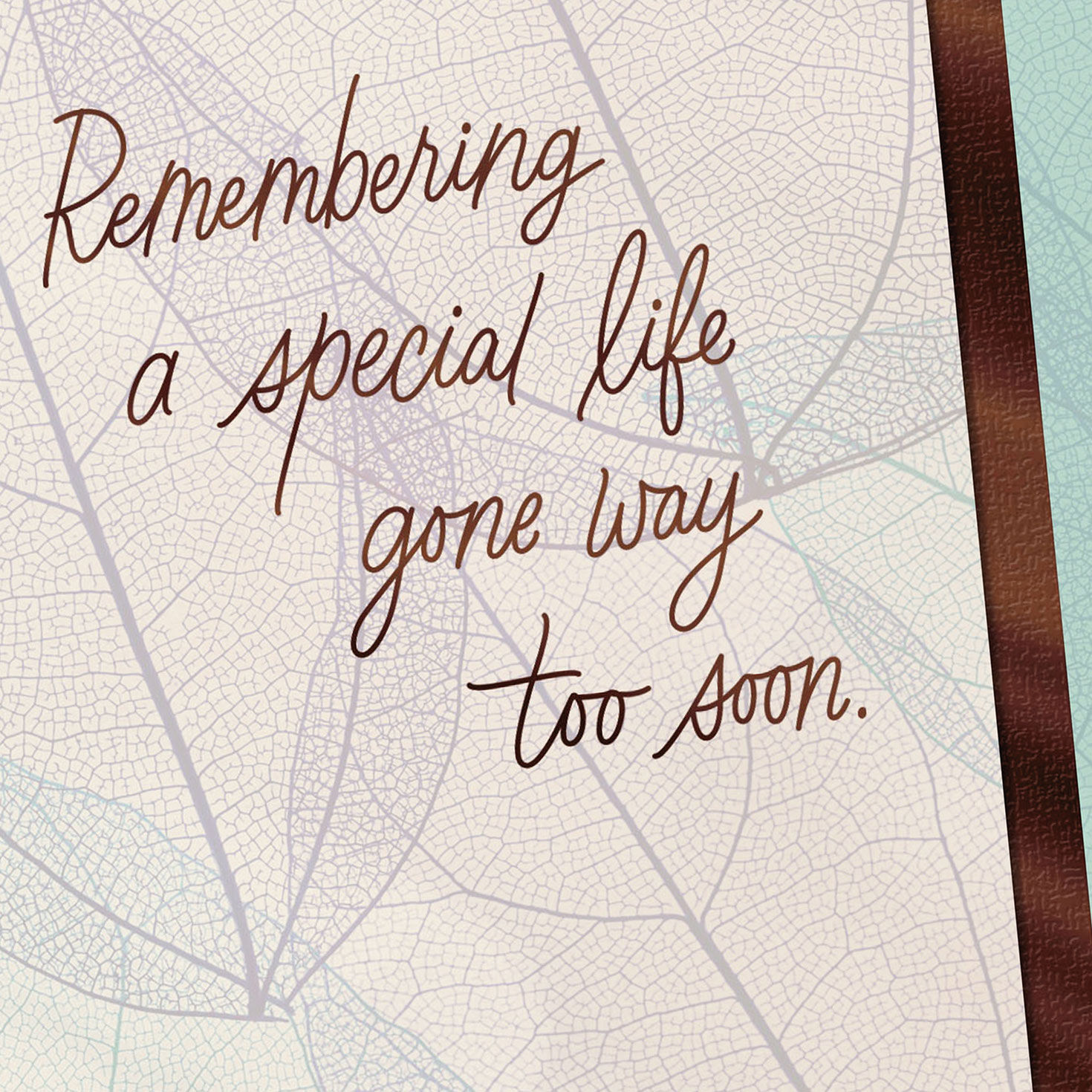 Remembering a Special Life Gone Too Soon Sympathy Card Greeting Cards(02)