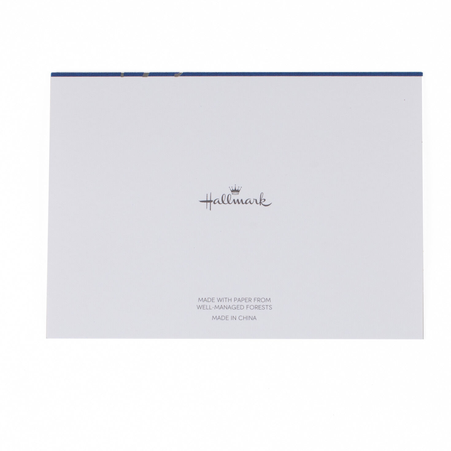 Silver Script on Blue Blank Thank-You Notes, Box of 40, , large image number 4