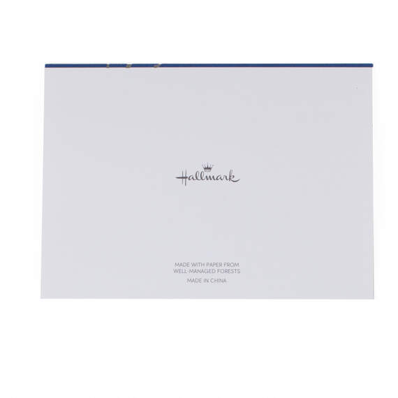Silver Script on Blue Blank Thank-You Notes, Box of 40, , large image number 4