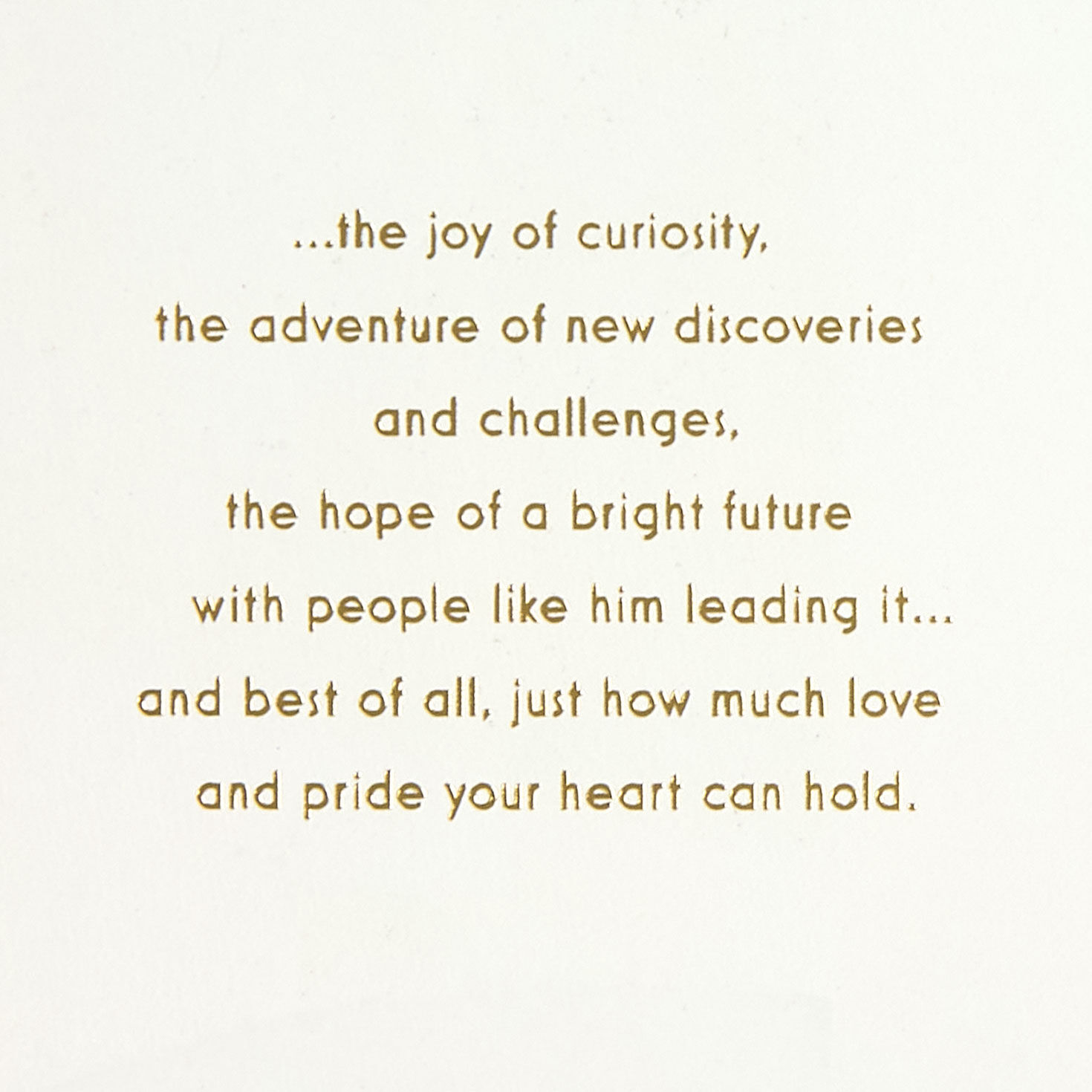 Deer in Winter Scene Son Christmas Card Sentiment image number 2