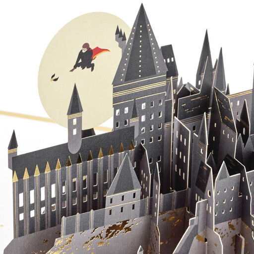 Harry Potter™ Hogwarts™ Castle 3D Pop-Up Card, 