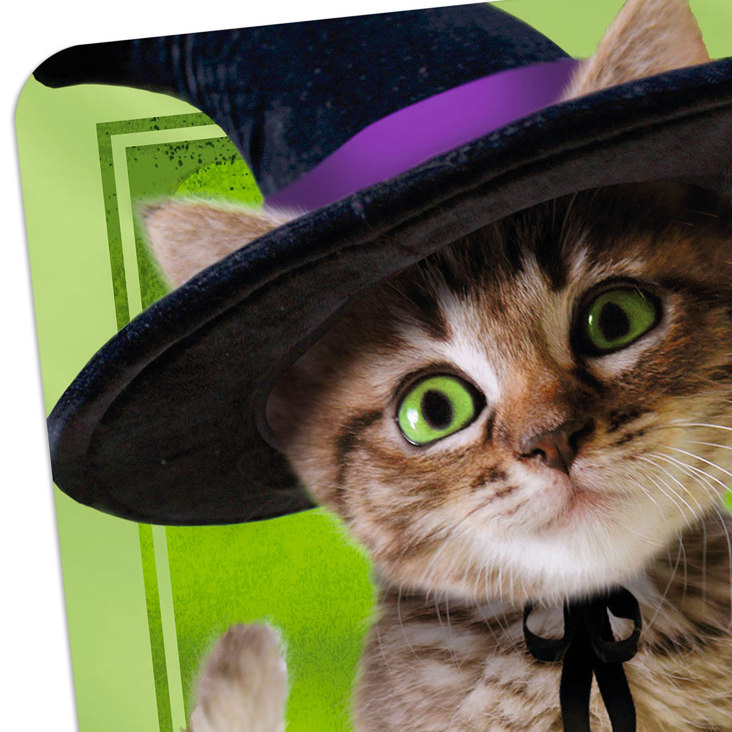 Tabby Cat in Witch Hat Halloween Card for only USD 2.99 | Hallmark