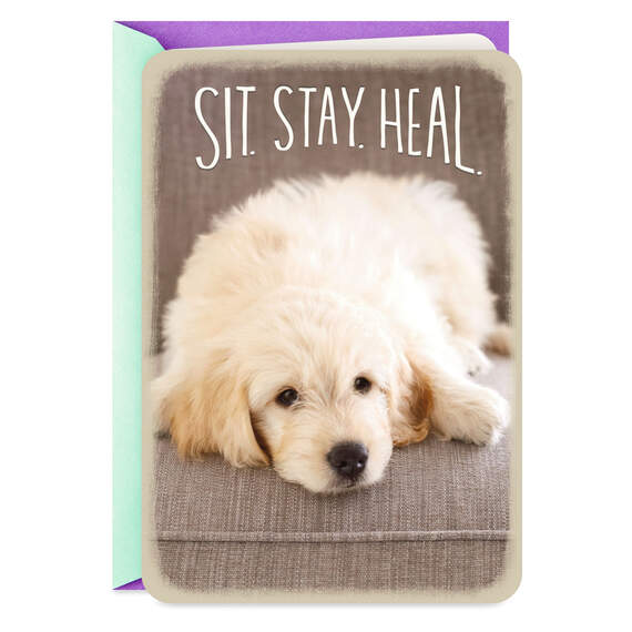 Sit, Stay, Heal Puppy Dog Get Well Card, , large image number 1
