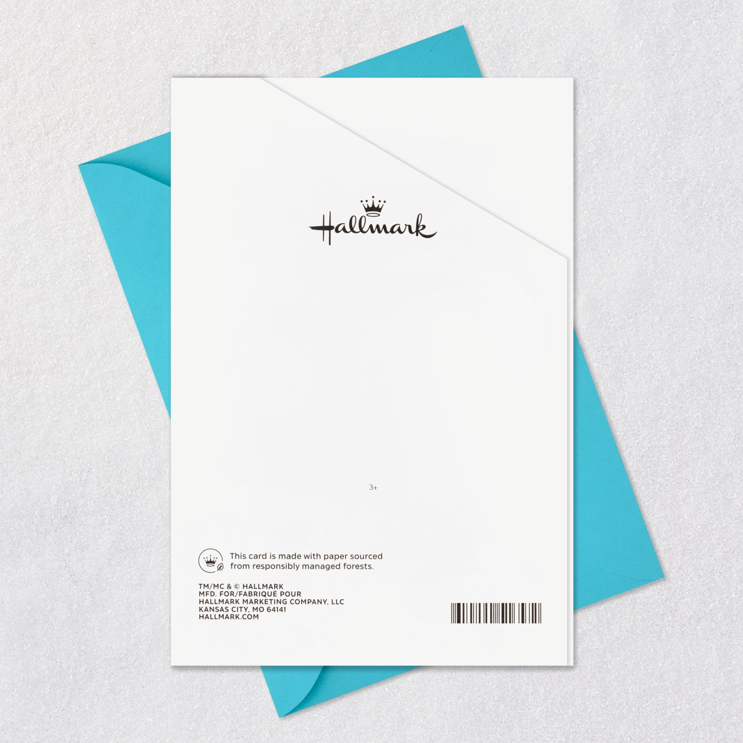 Cute Critters Party Like a Son Birthday Card Card Back with Envelope image number 7