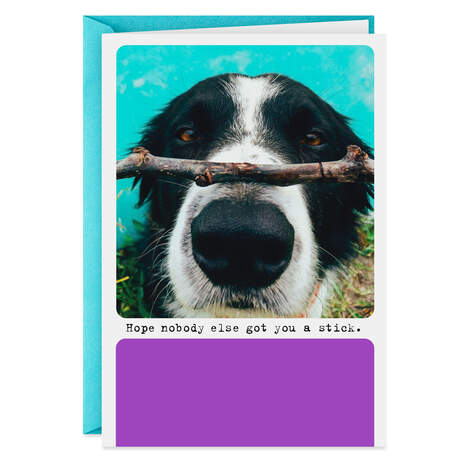 I Got You a Stick Funny Birthday Card, , large