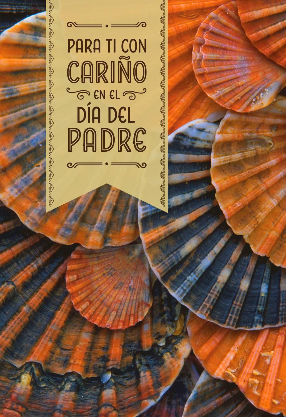 Seashells Spanish-Language Religious Father's Day Card