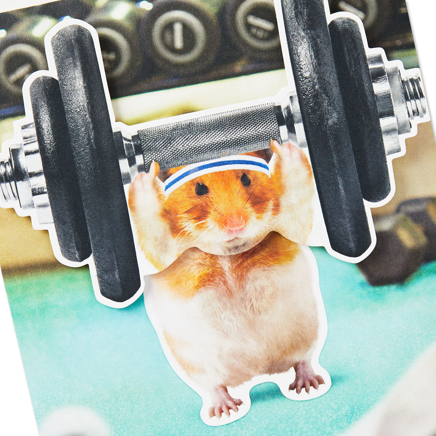 Weight Lifting Hamster Music & Motion Funny Birthday Card Card Front Detail image number 4