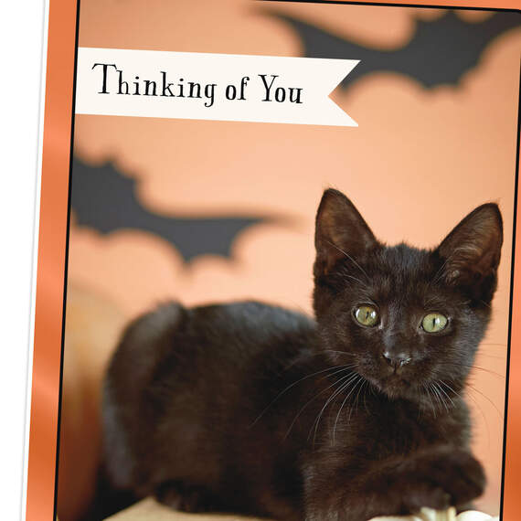 Black Cat Thinking of You Halloween Card, , large image number 4