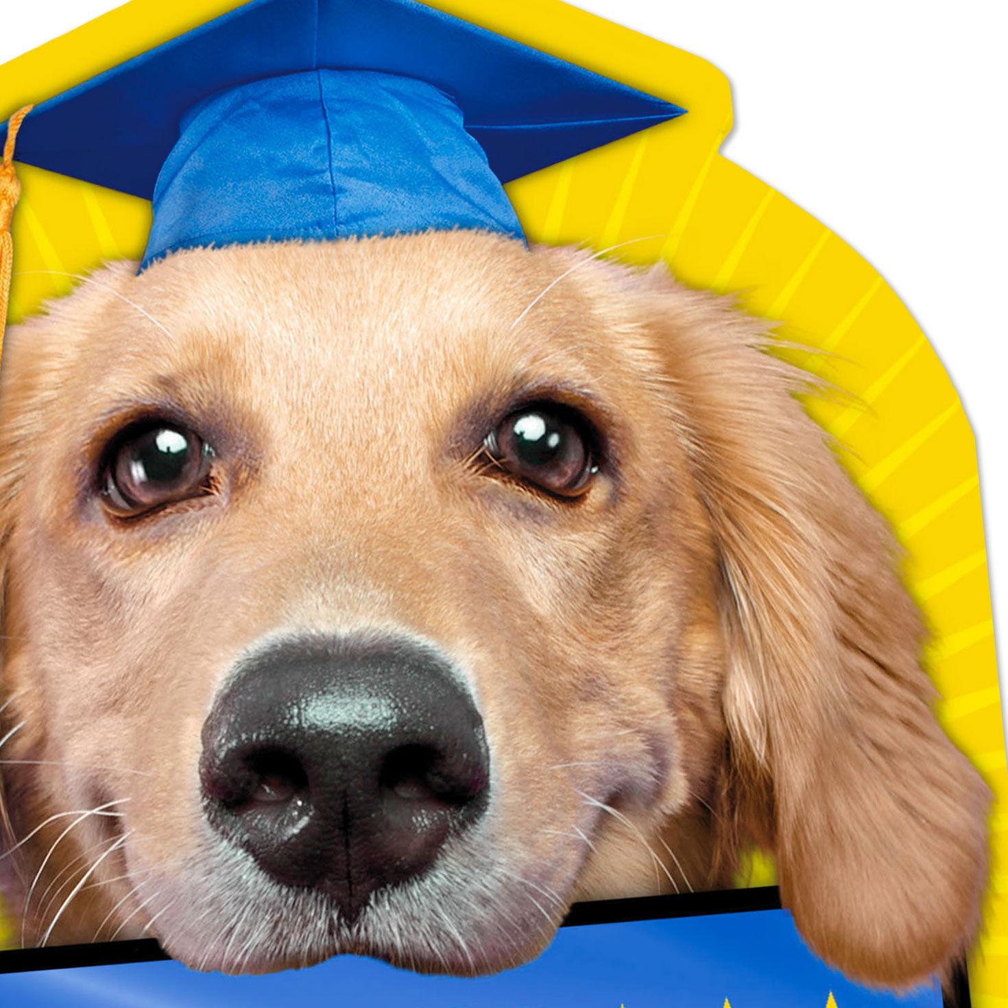 First Grader Coming Through Kindergarten Graduation Card for only USD 2.99 | Hallmark