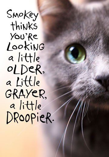 Don't Listen to Smokey Funny Birthday Card