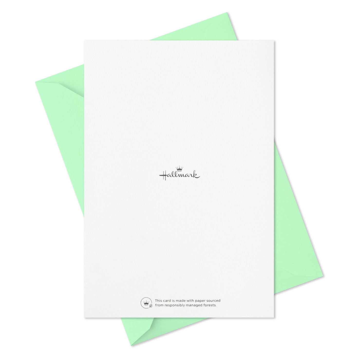 Blue Windowpane Blank Note Cards, Pack of 5, , large image number 5