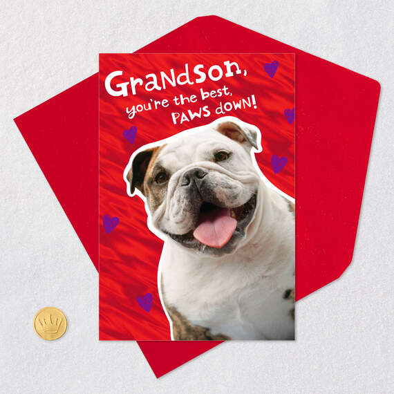 You're the Best Paws Down Valentine's Day Card for Grandson, , large image number 5