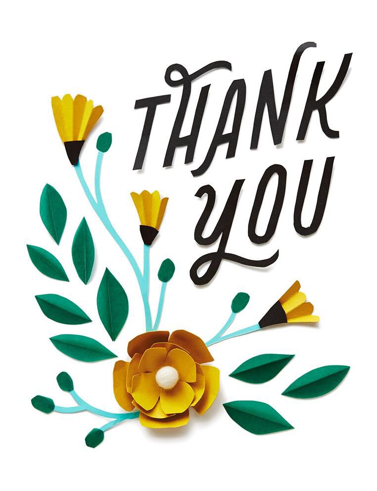 Flowers Blank Thank You Card Greeting Cards Hallmark