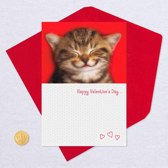You Make Me Smile Valentine's Day Card, , large image number 5
