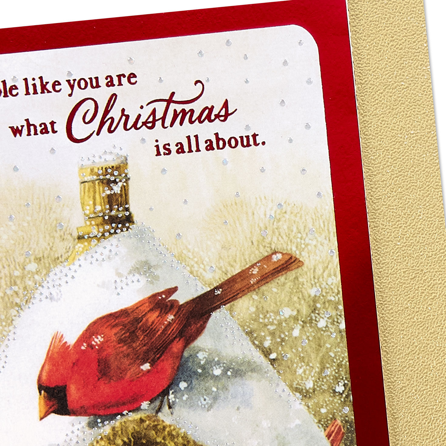 Marjolein Bastin Cardinal Birdhouse Christmas Card Card Cover Detail image number 5