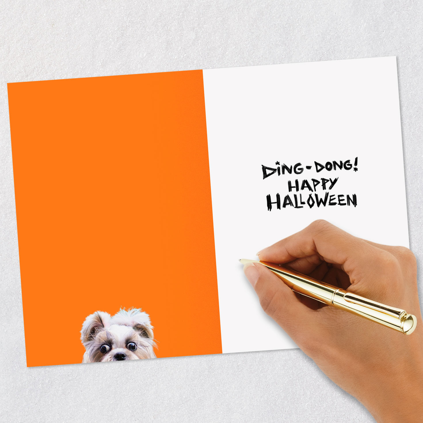 Dog Versus Doorbell Funny Halloween Card Signing card image number 6