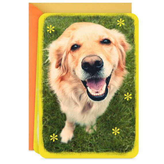 Smiling Dog Blank Card, , large image number 1