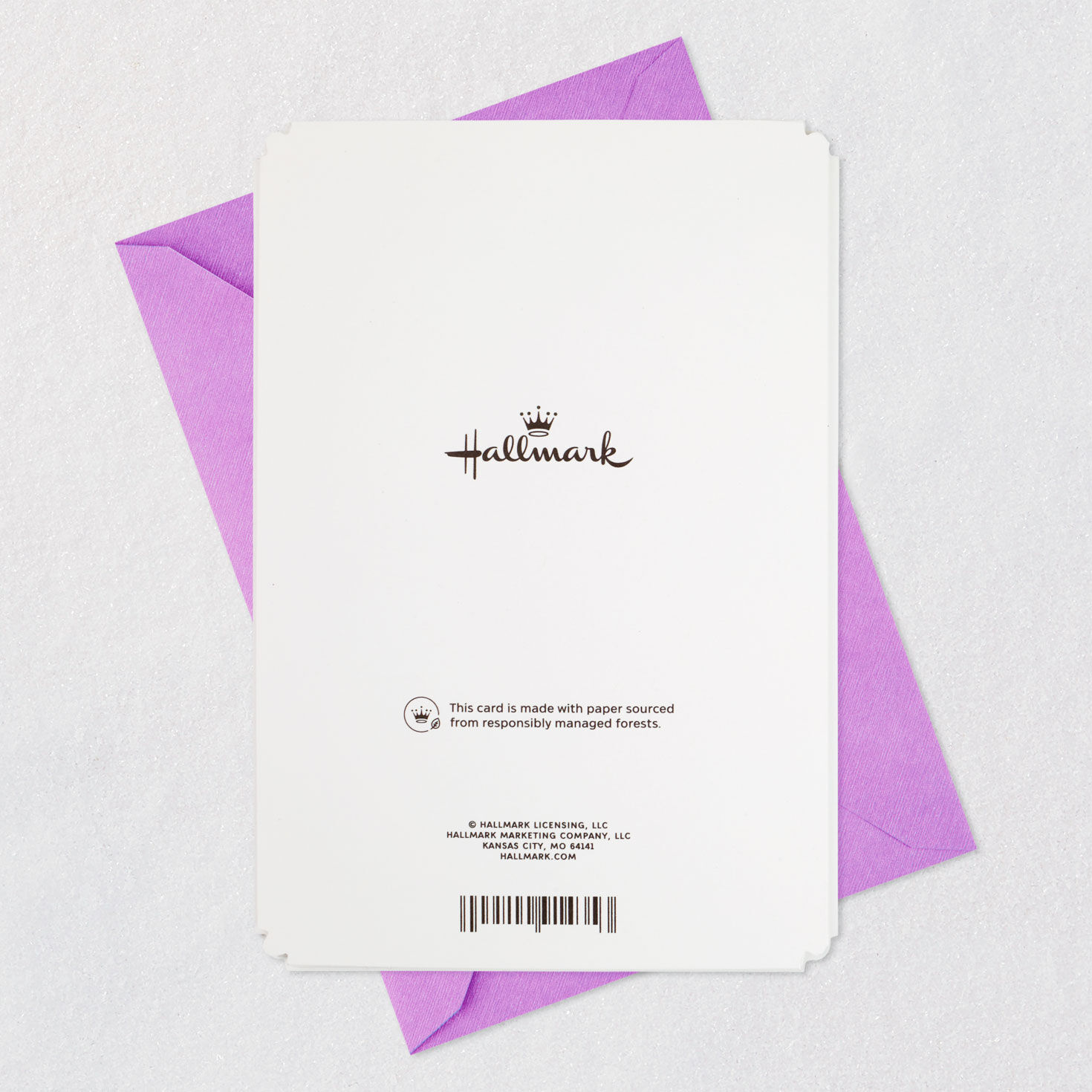 You're My Lifelong Friend Birthday Card for Sister, , large image number 7