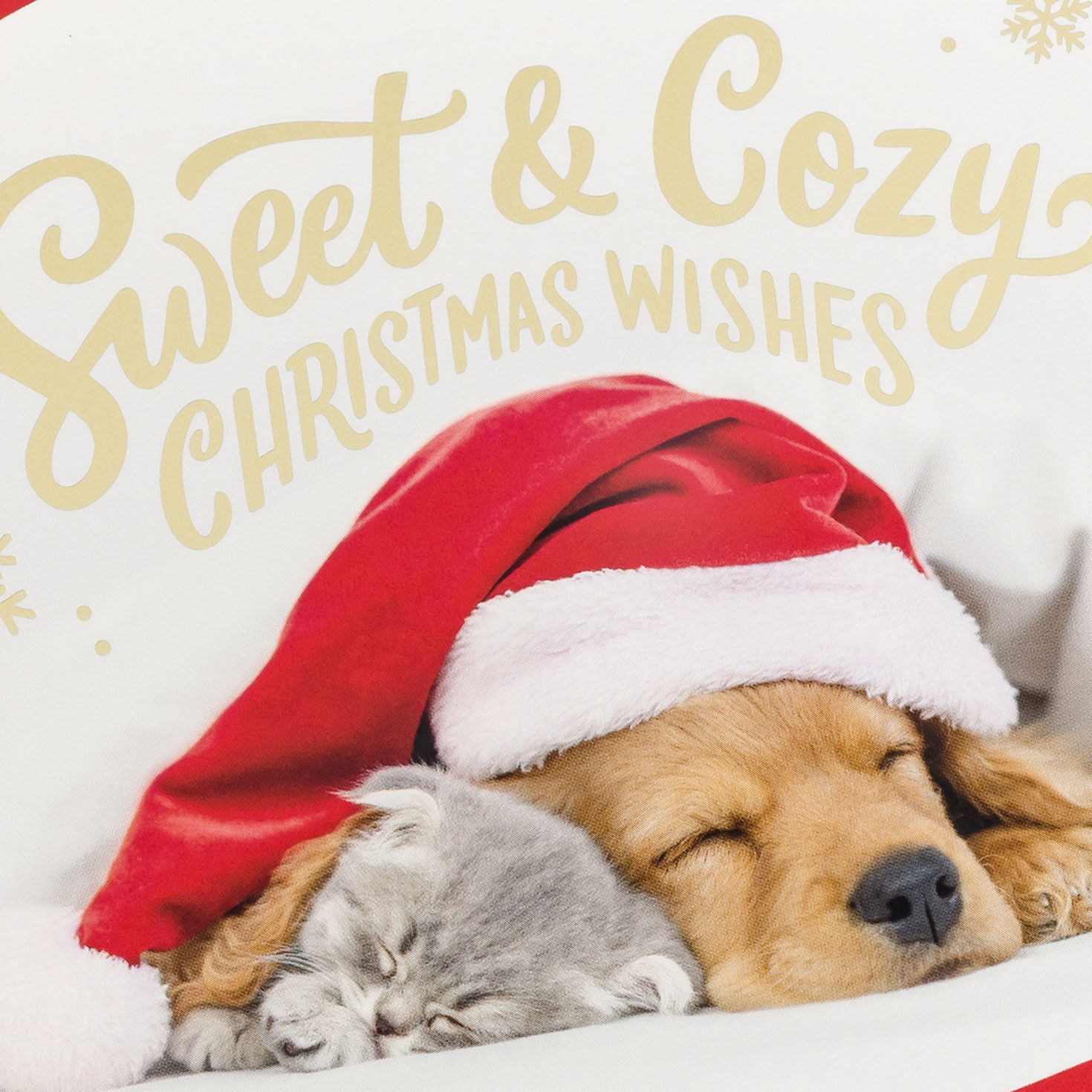 Cat and Dog Boxed Christmas Card Bulk Assortment Cover Detail image number 5