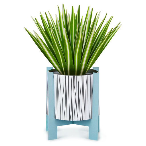 Spider Plant Keep Growing 3D Pop-Up Hello Card, 