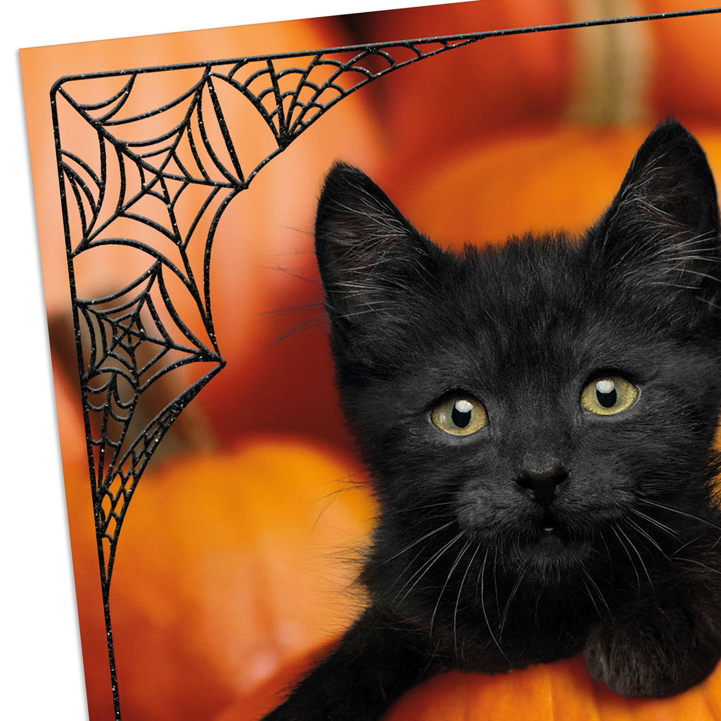 Let the Fun Begin Halloween Card for only USD 2.99 | Hallmark